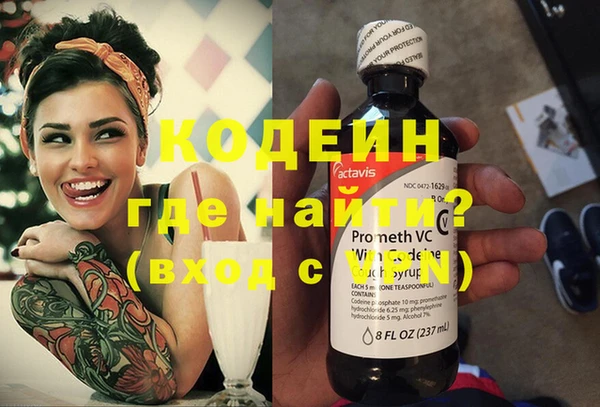 спиды Бородино