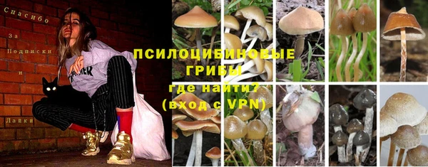 спиды Бородино