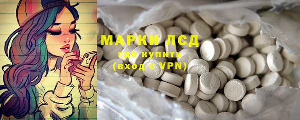 прущие грибы Вуктыл